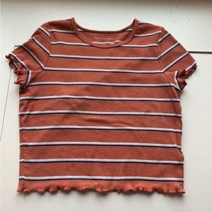 American Eagle Crop Top